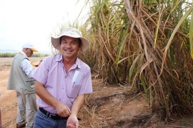 Người Việt siêu giàu có điểm gì giống nhau?